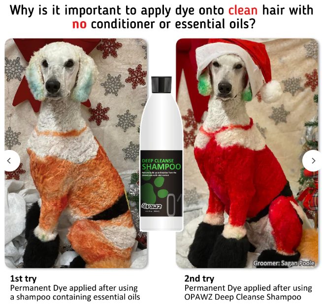 OPAWZ 01 Deep Cleanse Shampoo