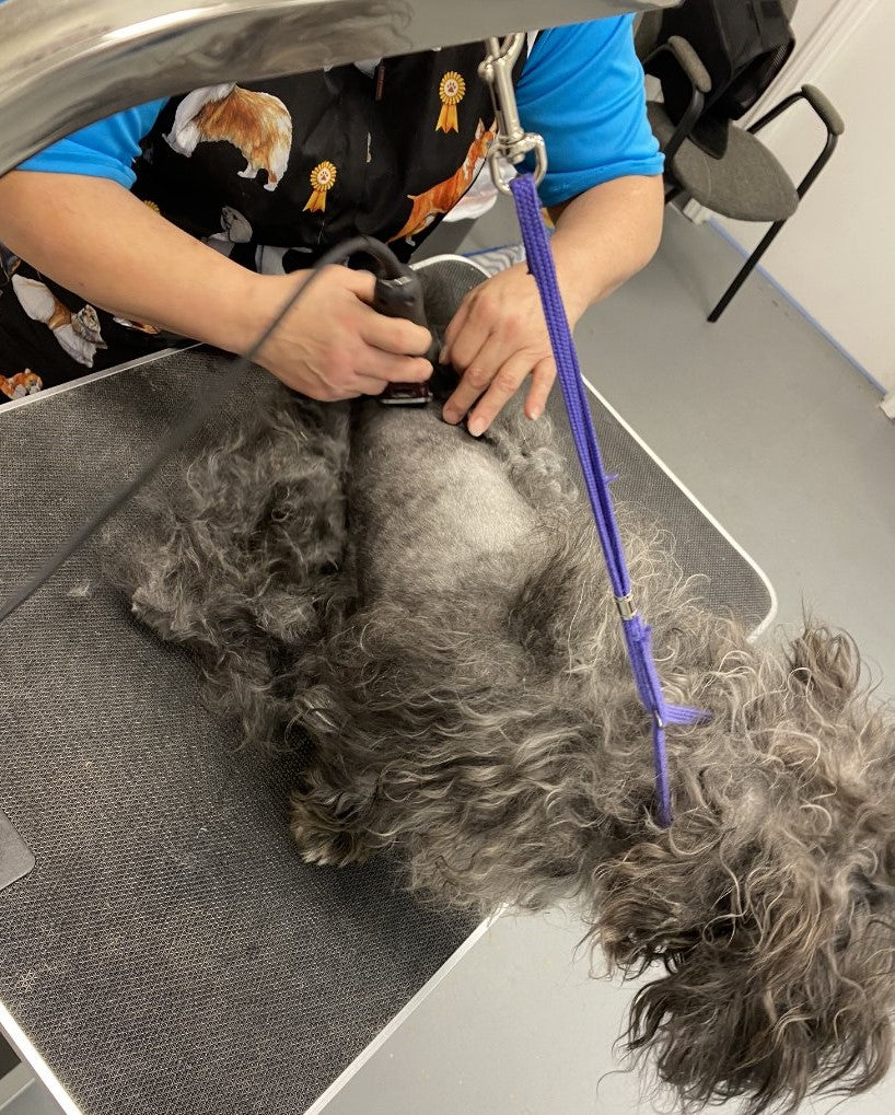 Grooming Tech