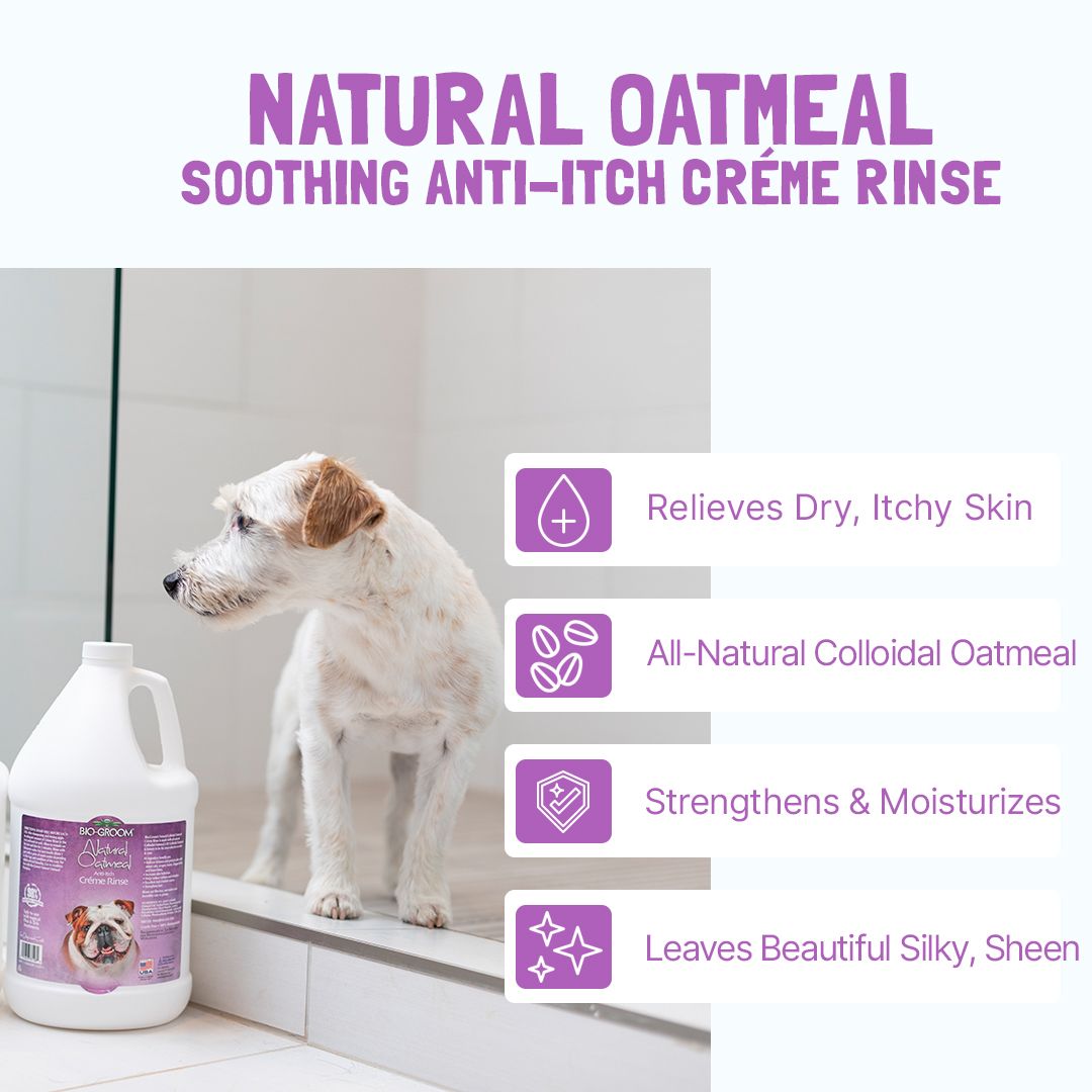 BIO-GROOM Natural Oatmeal Soothing Anti-Itch Creme Rinse Dog Conditioner