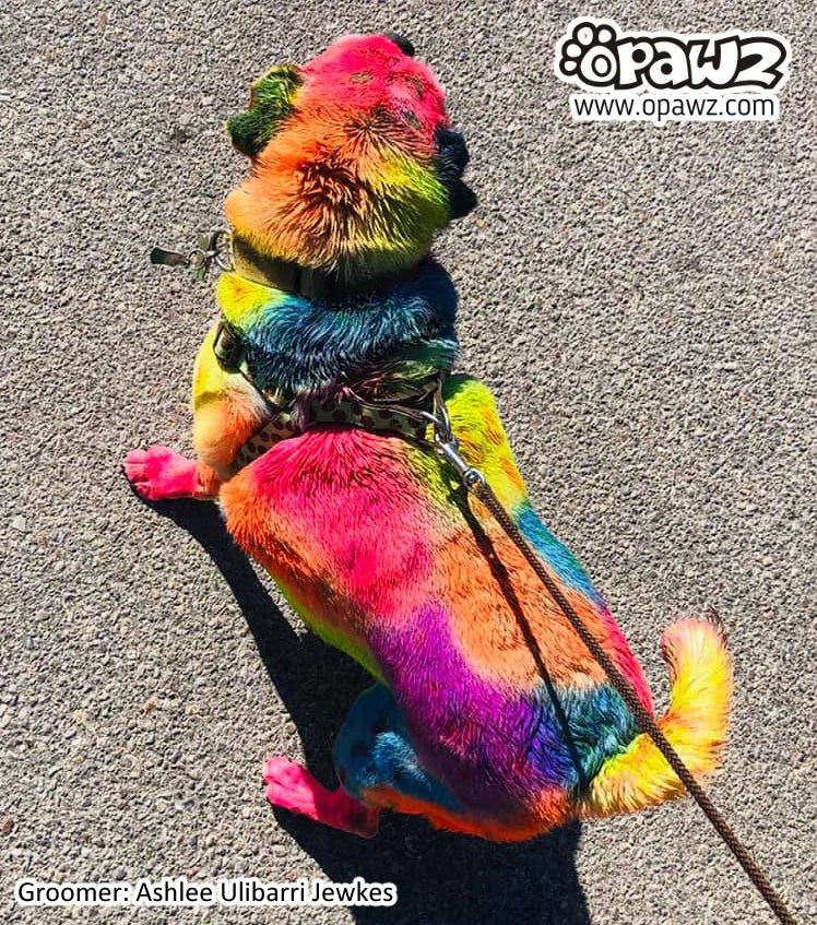 Opawz Color Paste - Red