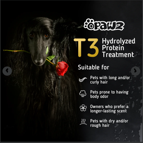 OPAWZ Hydrolyzed Protein Treatment (T3)