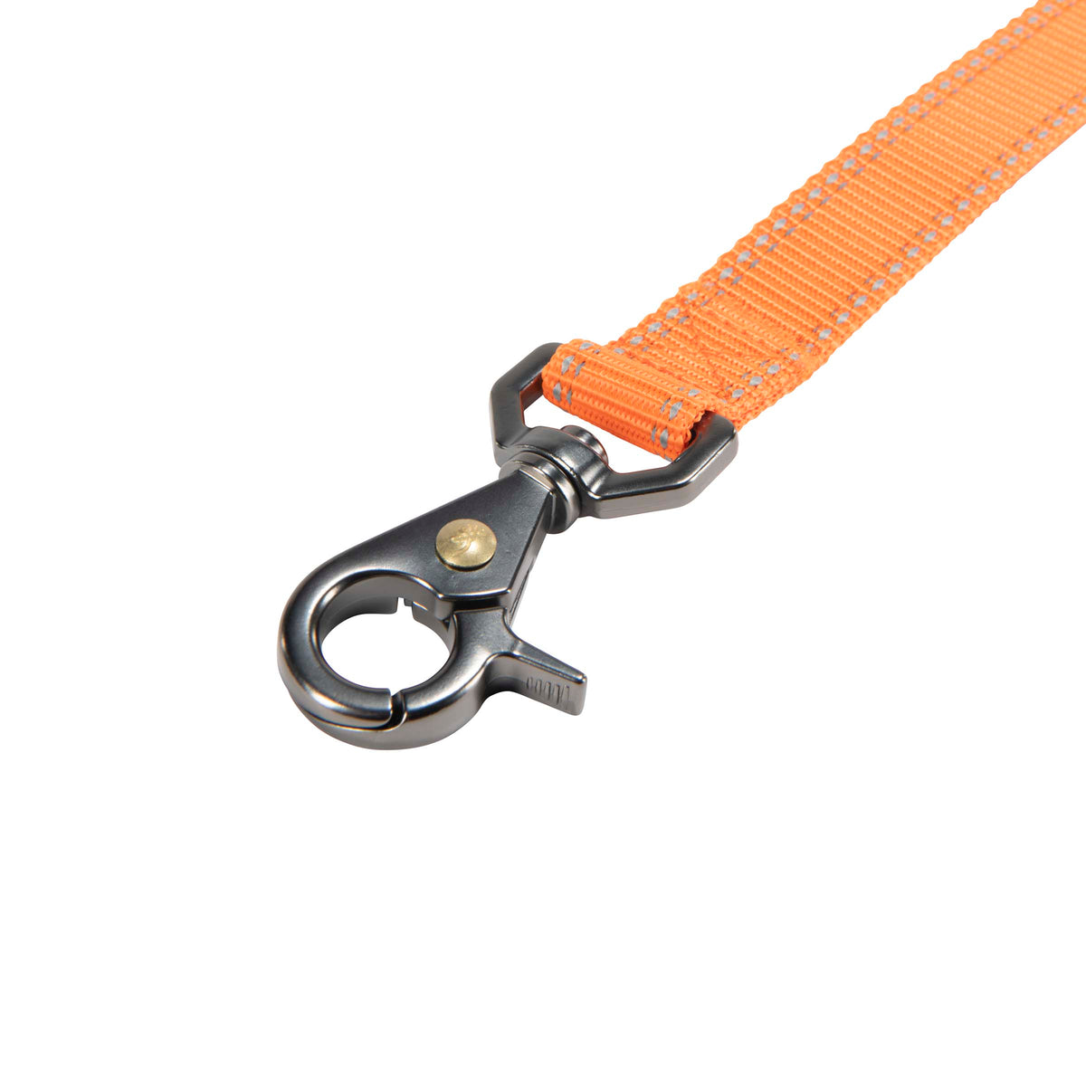 Browning CLASSIC WEBBING LEASH, 6FT X 1IN Safety Orange