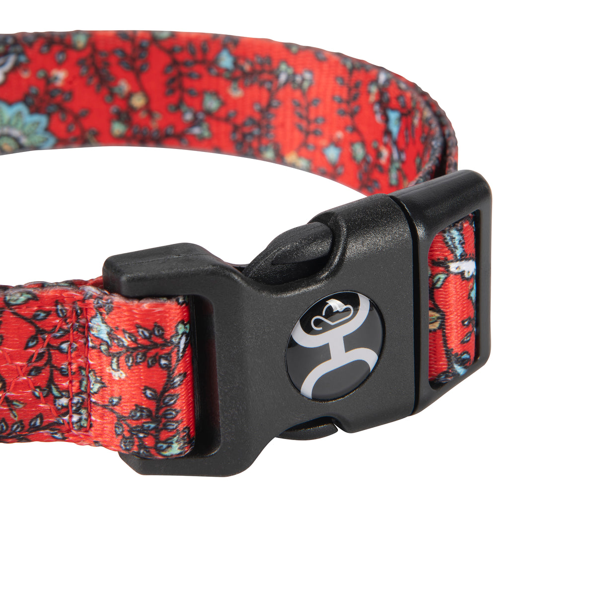 Hooey Nomad Collar Western Floral