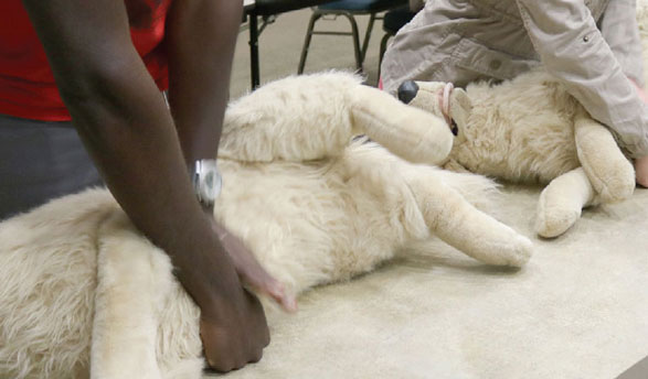 PetTech CPR and First Aid Training 8 hours