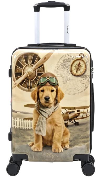 Chariot Sky Aviators Golden Pilot Edition