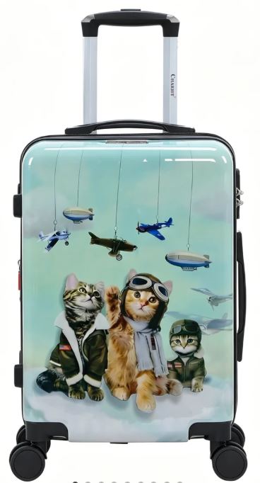 Chariot Sky Aviators Whimsical Cats Edition