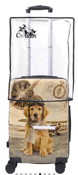 Chariot Sky Aviators Golden Pilot Edition