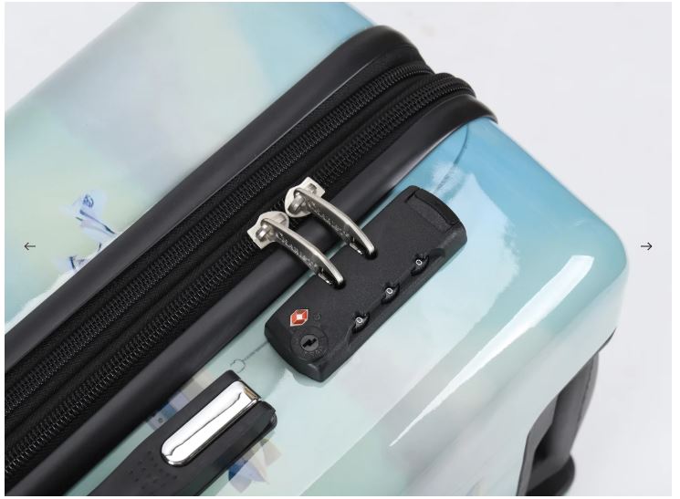 Chariot Sky Aviators Whimsical Cats Edition