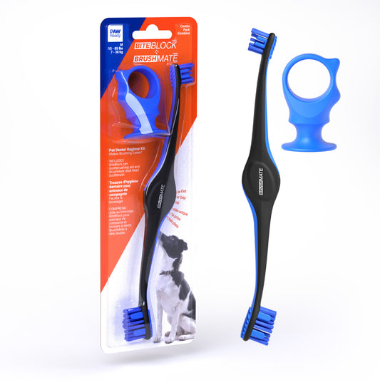 Paw Ready BrushMate Premium Toothbrush with Biteblock - Blue