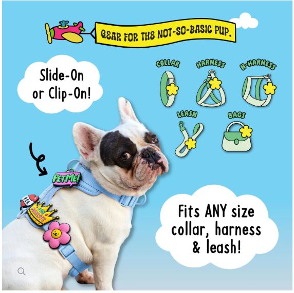 In Training Jiby Dog Charm