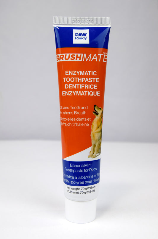 Enzymatic Dog Toothpaste - 1 Pack 70g- Best dog Toothpaste