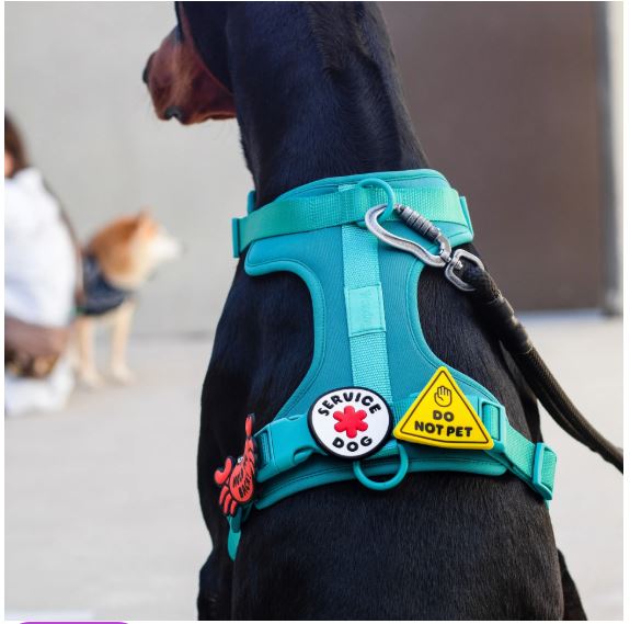 Do Not Pet Jiby Dog Charm