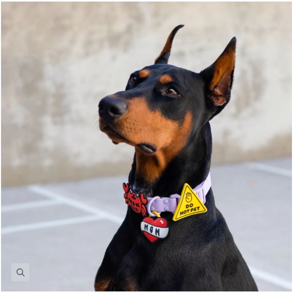 Do Not Pet Jiby Dog Charm