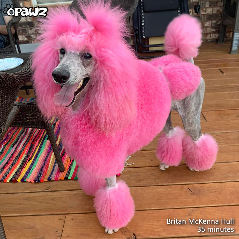 OPAWZ Color Depositing Shampoo for Dogs, Fushia 500ml