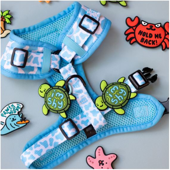 I'm Shy Turtle Jiby Dog Charm