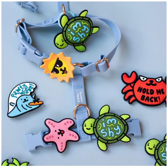 I'm Shy Turtle Jiby Dog Charm