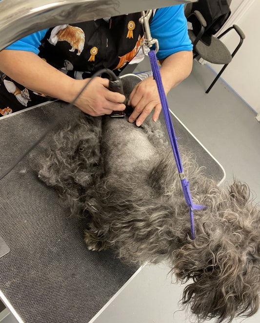 Grooming Tech