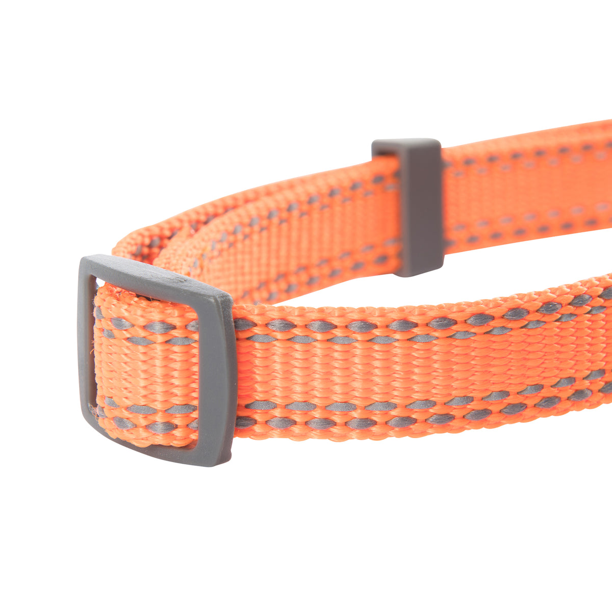 Browning CLASSIC WEBBING COLLAR Safety Orange