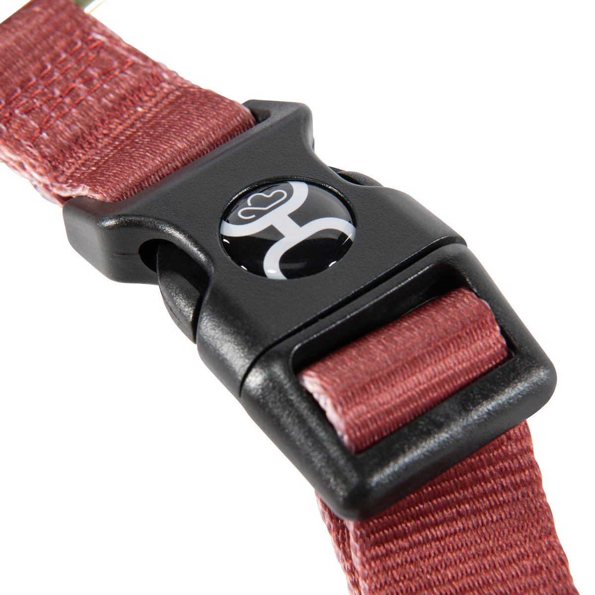 Hooey Nomad Walking Harness Hooey Rodeo