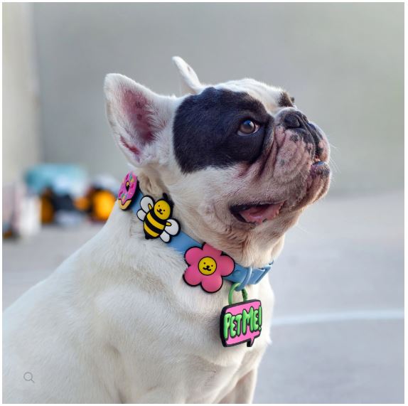 Pet Me Jiby Dog Charm